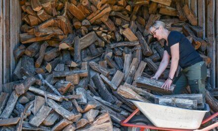 Građani BiH zadužuju se uz velike kamate kako bi kupili nekoliko metara drva