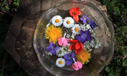 NE ZABORAVITE PRIJE SPAVANJA: Potopite cvijeće u posvećenu vodu i pomjerite kazaljke na satu-sat naprijed!