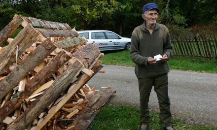 Video: 92-godišnji dedo Huso danas dobio drva od dobrih ljudi
