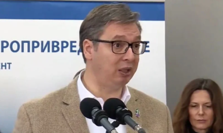 Vučić poručio europarlamentarcima: Klepit ću vas po du…, po ušima
