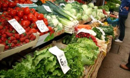 Više domaćega povrća značilo bi i pristupačnije cijene