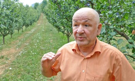 (Video) Živi u Austriji, a u Bugojnu posadio 3000 stabala šljive, tko hoće, može