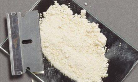 Državljanin BiH pokušao prodati tri kilograma kokaina