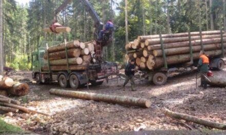 Nesreća kod Dusine: Teško povrijeđen djelatnik Šumarstva