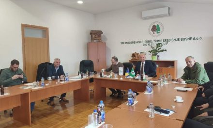 Vildan Hajić ponovno imenovan za predsjednika Grupacije šumarstva i drvne industrije pri Privrednoj/Gospodarskoj komori Federacije BiH