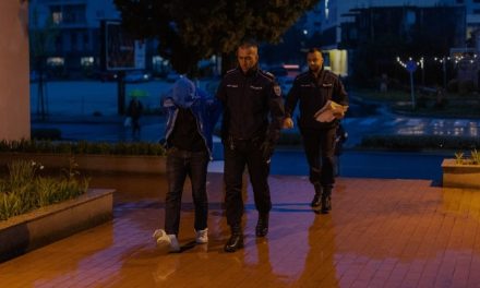 POZNAT IDENTITET: Priveden osumnjičeni za krađu kipa Brucea Leeja