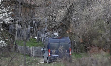 Zašto je trudna majka nestale Danke (2) nakon niza godina baš sada došla do zapuštene vikendice