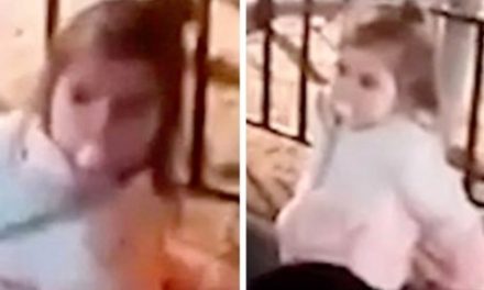 VIDEO Srpski mediji: Danka je viđena s dvije žene u Beču? Objavljena i snimka