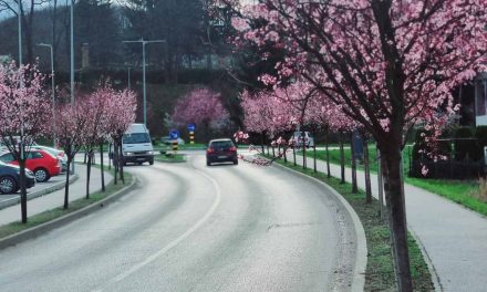 U BiH večeras stiže izražena promjena vremena, na snazi narančasti meteoalarm