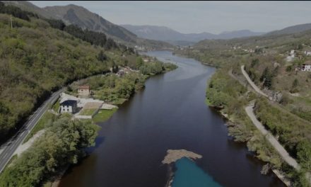 FOTO Užas na Jablaničkom jezeru: ‘Ovo je pogubno za ribe, može se očekivati pomor’