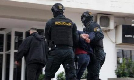 Velika akcija FUP-a na Alipašinom Polju u Sarajevu, hapse se i bh. i strani državljani