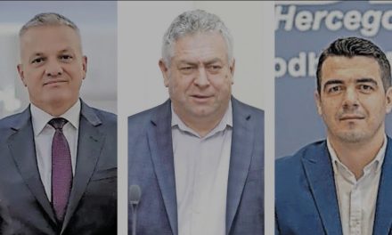 Iz dijaspore su u Sabor u 29 godina bila izabrana 42 zastupnika koja nikada nisu odlučila novu vlast