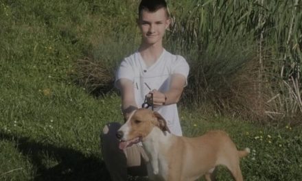 Pas Vinka Biletića proglašen najljepšim na svijetu