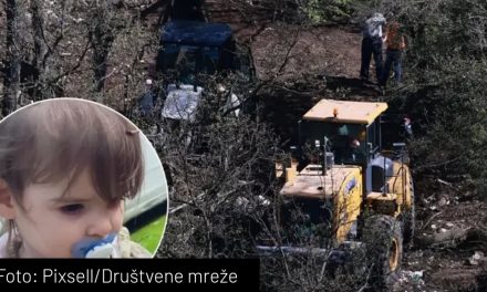 Preokret u slučaju nestale Danke?