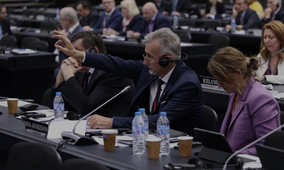 Parlamentarna skupština NATO-a unaprijedit će status BiH
