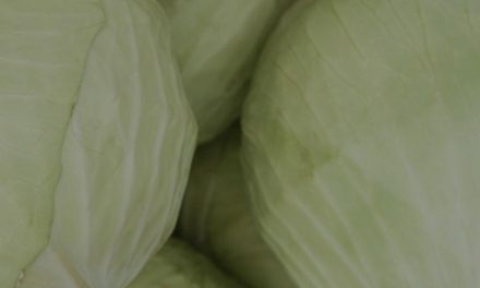 Zaboravite avokado, maslinovo ulje ili borovnice. Ovo je nova superhrana godine