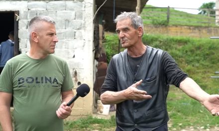 Kako je Fadil postao najveći trgovac konja u BiH, video priča iz Karaule