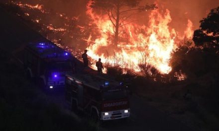 Razbuktao se požar kod Tučepa: Vatra krenula prema kućama, počele i evakuacije