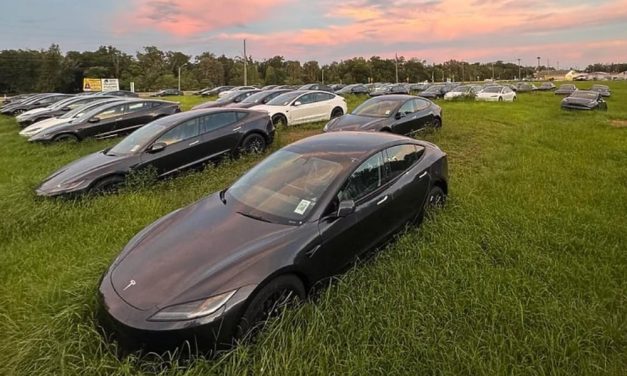 Stotine novih Teslinih automobila čekaju vlasnike na zaraslom polju