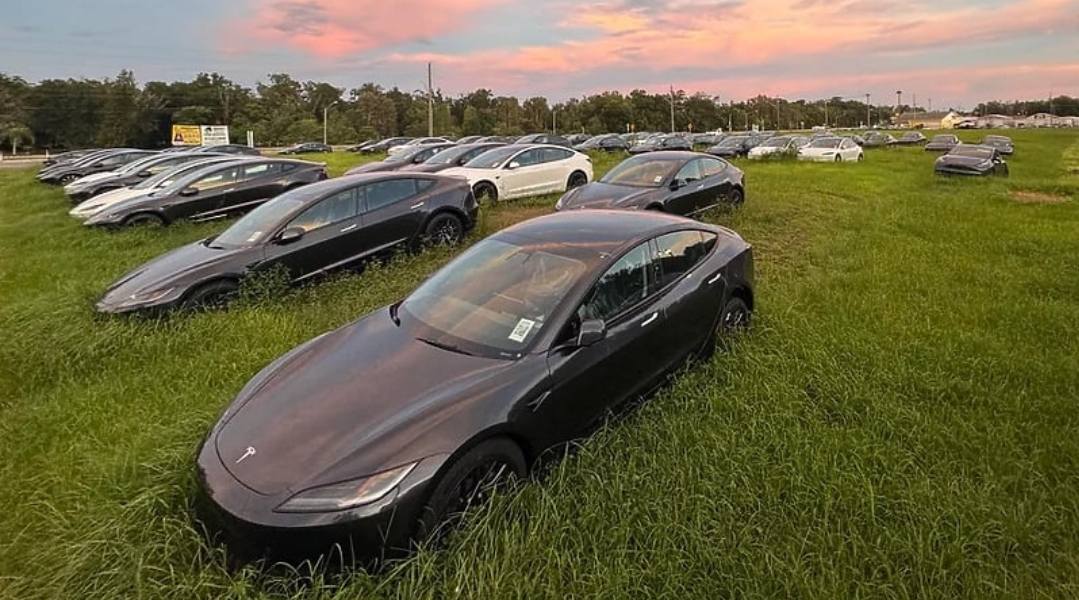 Stotine novih Teslinih automobila čekaju vlasnike na zaraslom polju
