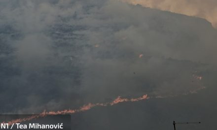 Borba s vatrom i dalje traje: Obranjene su kuće, ozlijeđen jedan vatrogasac
