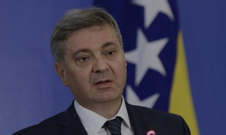 Uskoro bi 30.000 građana koji žive u Njemačkoj moglo vratiti bh. državljanstvo