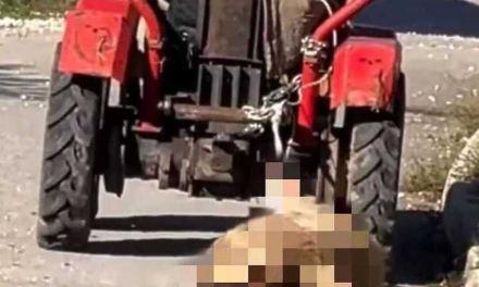 Muškarac uhićen u Istočnom Sarajevu: Brutalno maltretirao psa, svezao ga za traktor i vukao