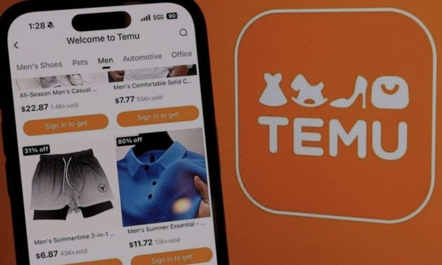 Otkriveno zašto je Temu tako jeftin, ali jedna stvar vam se nikako neće svidjeti