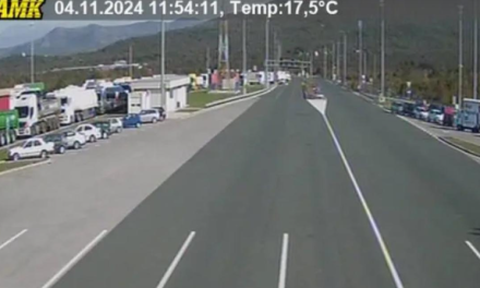 BIHAMK: Prosvjed vozača teretnih vozila, blokiran carinski terminal na GP Bijača
