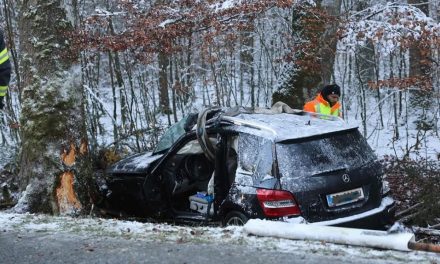 Mlada majka iz BiH vozilom udarila u u stablo i poginula, tijelo izvlačili – vatrogasci