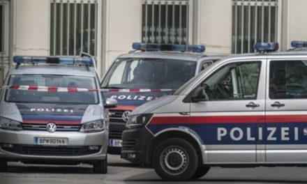 Muškarci iz Hrvatske i BiH u Austriji odvukli 76-godišnjakinju u auto i silovali je