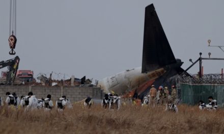 Preko 160 mrtvih u avionskoj nesreći u Južnoj Koreji