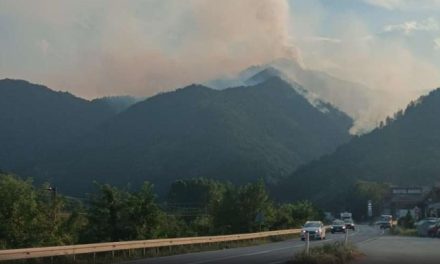 Požar u krugu žepačkog poduzeća: Zahvatio tri dvorane, spriječeno širenje na okolne objekte