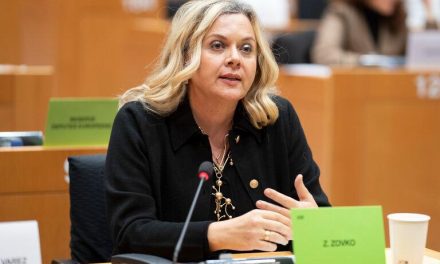 Usvojeni amandmani Željane Zovko u kojima se poziva na reformu Izbornog zakona u BiH