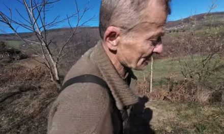 (Video) Nije lovačka-Medvjedi Miši ubili 25 lovačkih pasa pasmine barak