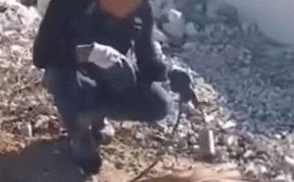 (UZNEMIRUJUĆI VIDEO) U mjesec dana nestale 3 životinje: Kinez u Bileći PEČE PSA, upraviteljica azila podijelila JEZIVU SNIMKU