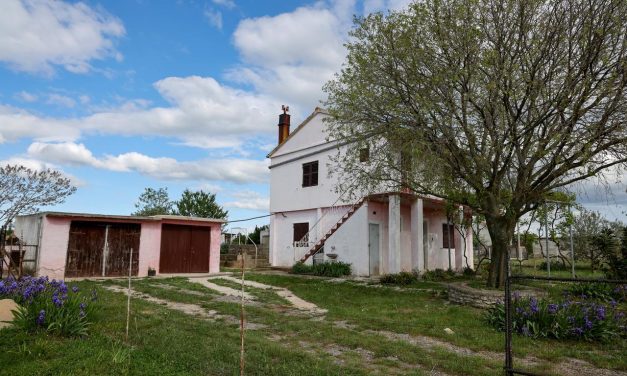 Strašni detalji zločina u Dalmaciji, ubio ženu, pa presudio sebi: ‘Svi ih znaju kao skladan par’