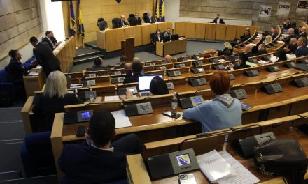 Ako bi o Predsjedništvu BiH odlučivao Dom naroda, ključna bi bila uloga klubova naroda