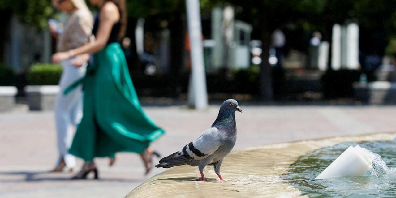 Oboren rekord, ovogodišnji ožujak najtopliji ikad u Europi