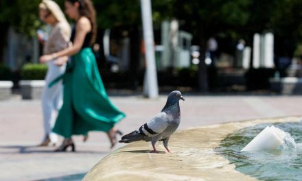 Oboren rekord, ovogodišnji ožujak najtopliji ikad u Europi