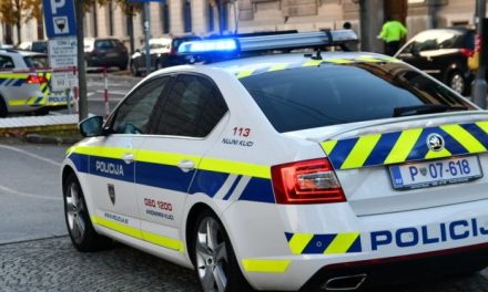 Tragedija u Ljubljani: Preminuo dječak (4) iz BiH
