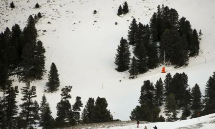 Tragedija na skijalištu: Pronađeno petero mrtvih skijaša