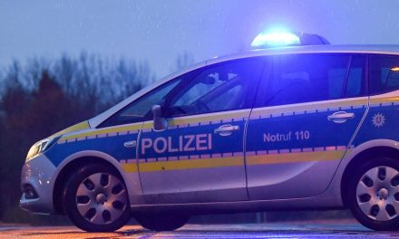 Vozačica (94) pregazila osam ljudi na parkiralištu supermarketa u Njemačkoj, tri osobe teško ozlijeđene