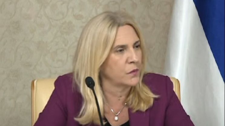 CVIJANOVIĆ: Rješenje krize u BiH je dijalog, a ne strana intervencija