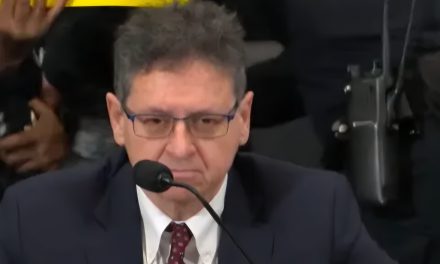 Max Primorac: “BiH treba tri federalne jedinice”