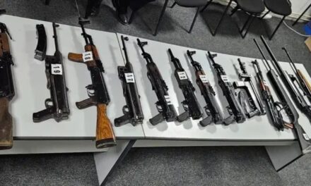 Slučaj u BiH: Ovo je arsenal oružja pronađen kod muškarca koji je napao policajca