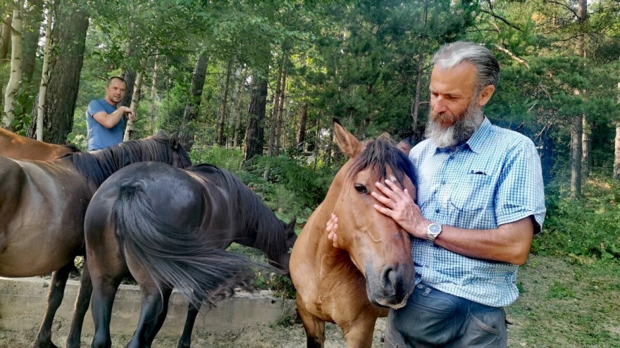 Priča iz Lučice: Tamo gdje slijepi konj “vidi” više od sustava