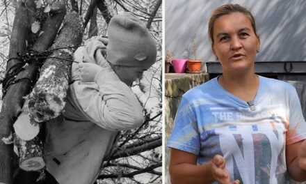 VIDEO: Priča iz Zenice “Siromaštvo pretvorili u pravo malo seosko bogatstvo”