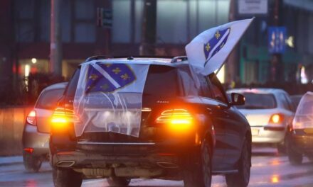 Uoči utakmice BiH-Poljska: Navijačima zabranjeno unošenje zastave sa ljiljanima