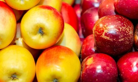 Radite pite i štrudle od jabuka? Evo koje sorte birati, a koje izbjegavati